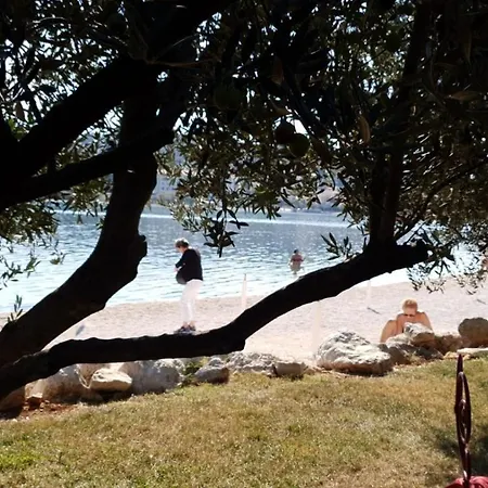 Rokić * Seget Vranjica